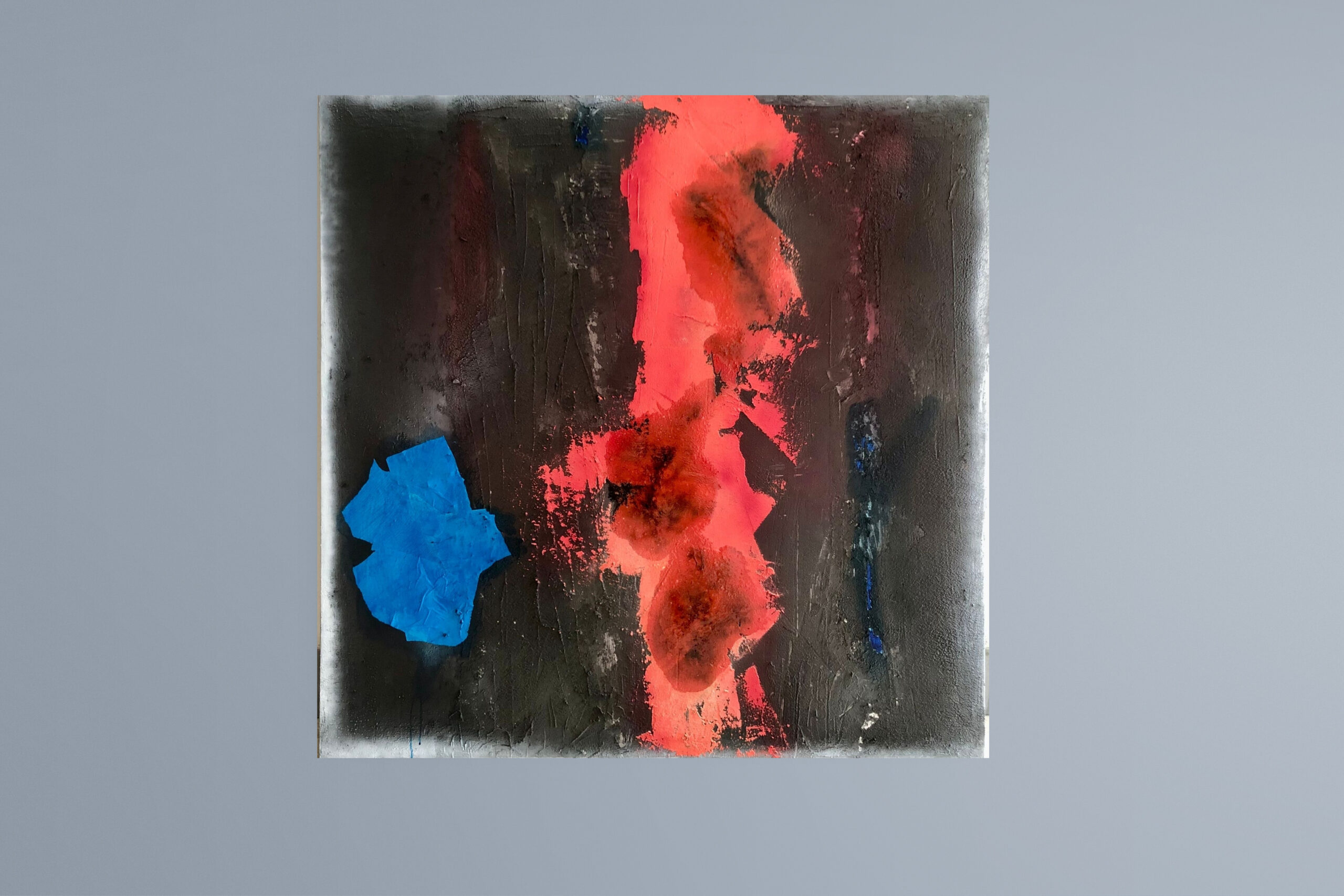 Luca Rinaldi, Progetto1 Leone - immagine 6
