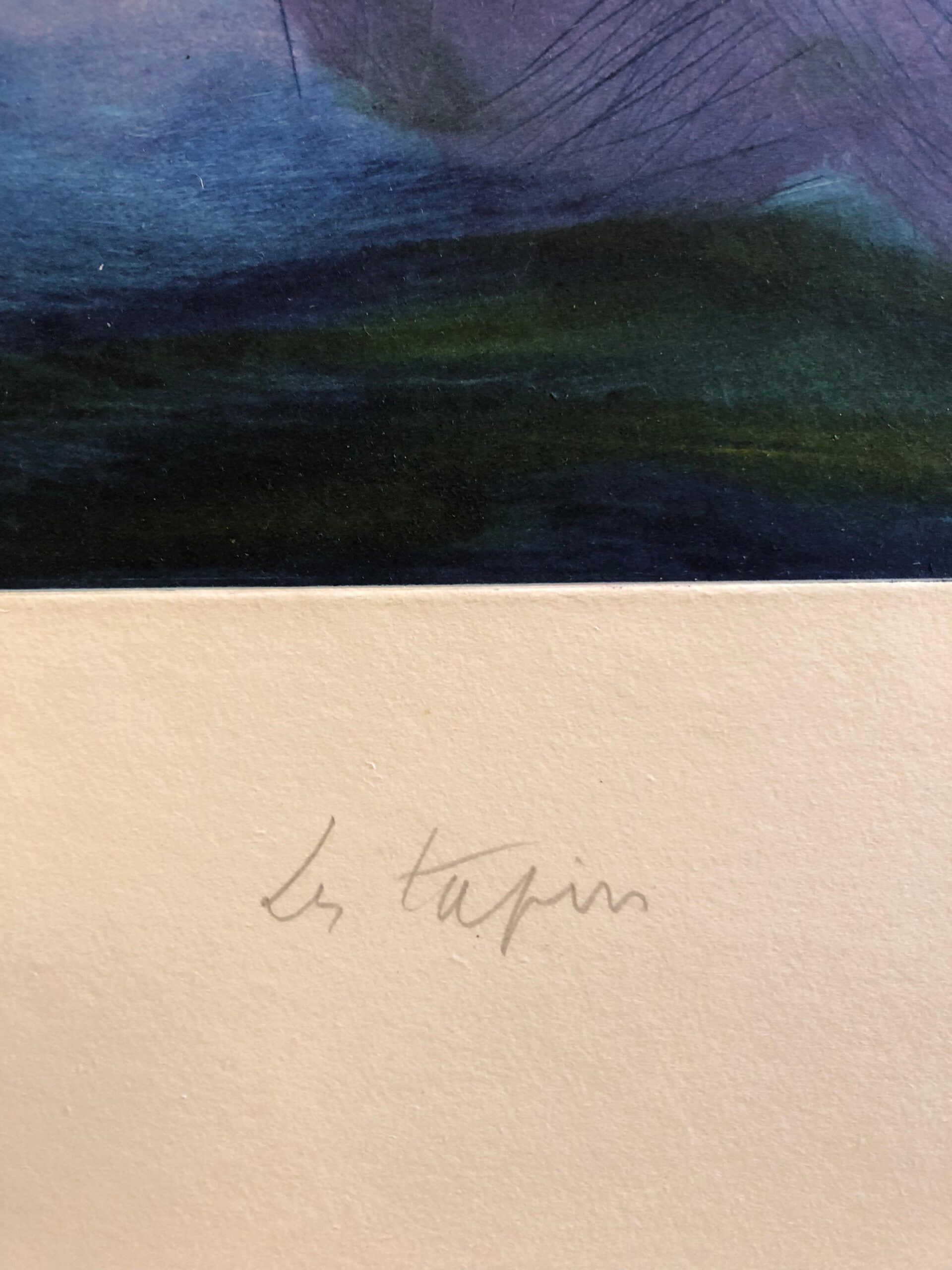 Jean Messagier, Le Tapir - immagine 6