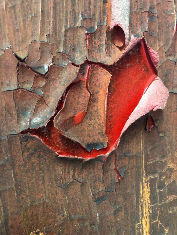 Luca Rinaldi, Cortex Blood - immagine 4