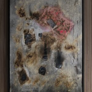 Luca Rinaldi, Calcinazione3