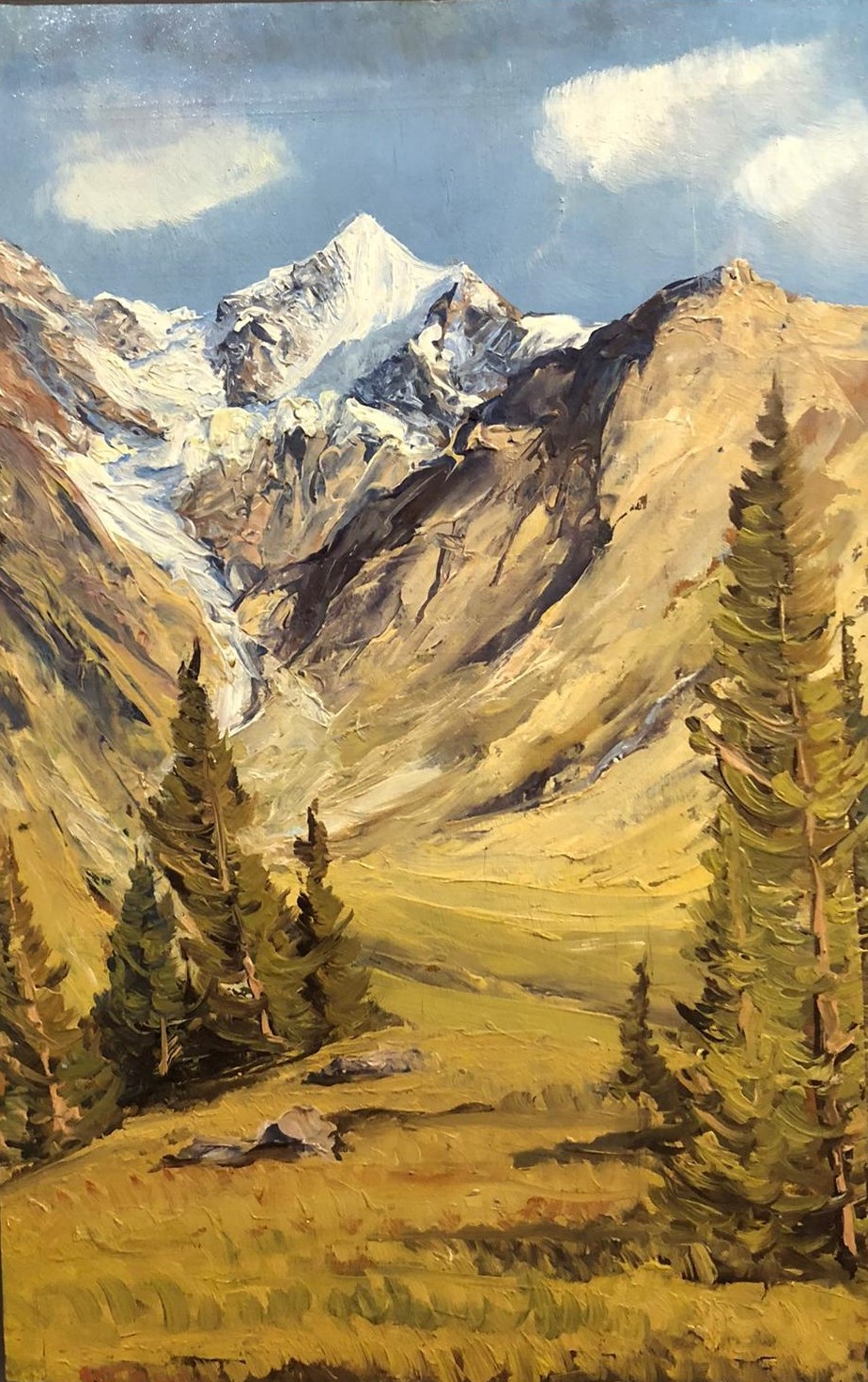 Paolo Punzo. Il Pizzo Tresero, Valfurva - immagine 4