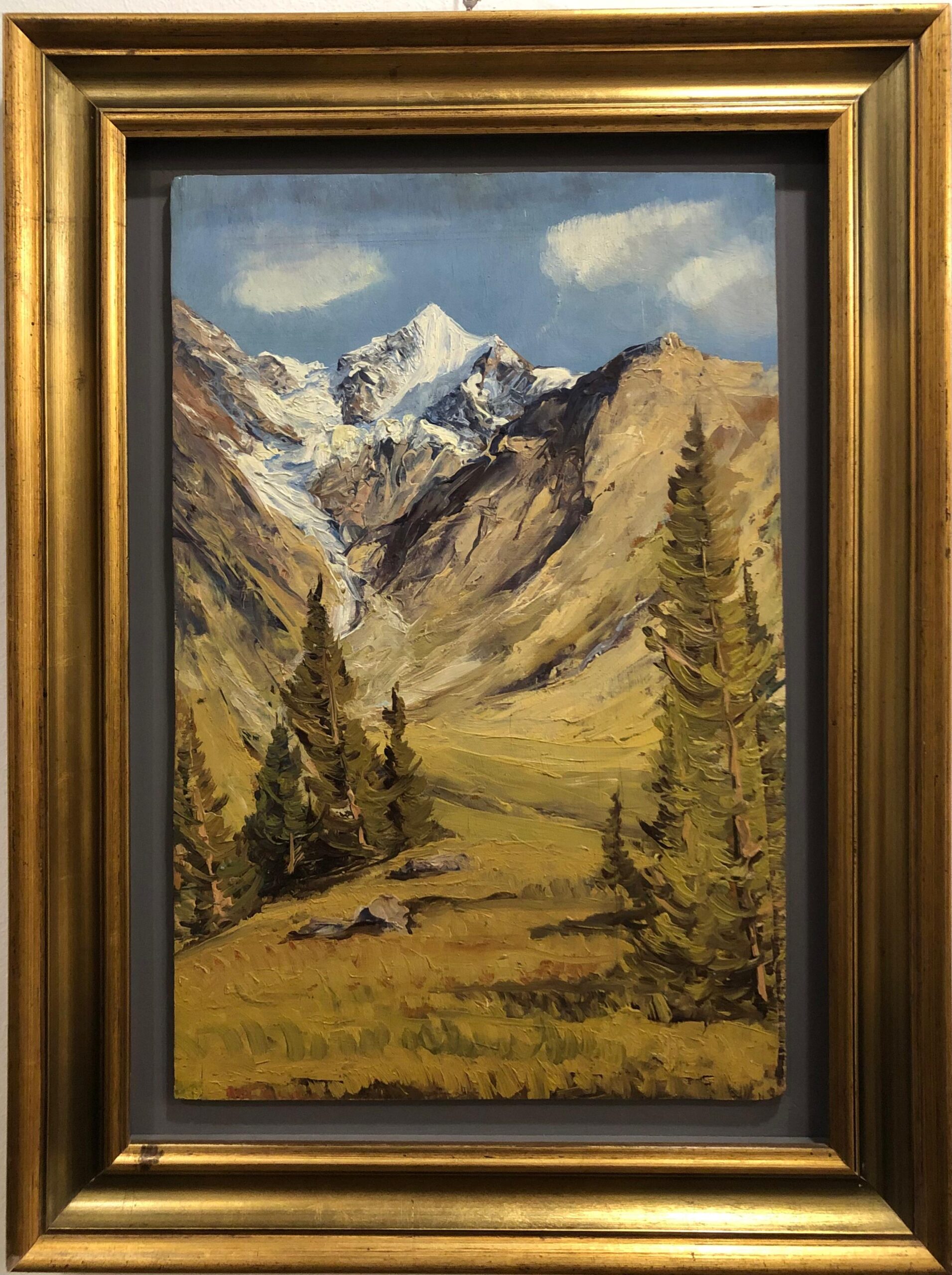 Paolo Punzo. Il Pizzo Tresero, Valfurva